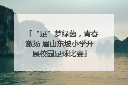 “足”梦绿茵，青春激扬 眉山东坡小学开展校园足球比赛