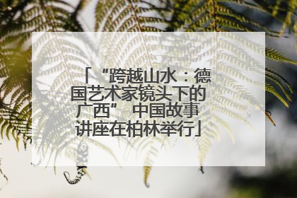 “跨越山水：德国艺术家镜头下的广西” 中国故事讲座在柏林举行