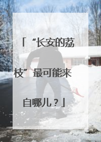 “长安的荔枝”最可能来自哪儿？