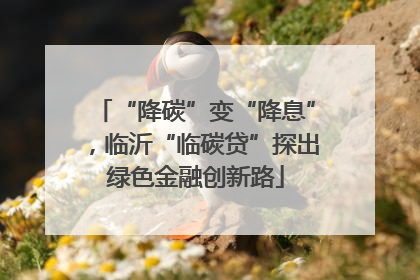 “降碳”变“降息”，临沂“临碳贷”探出绿色金融创新路