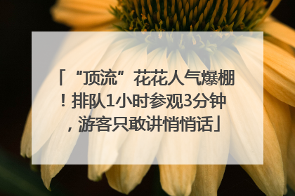 “顶流”花花人气爆棚！排队1小时参观3分钟，游客只敢讲悄悄话