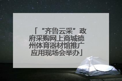 “齐鲁云采”政府采购网上商城德州体育器材馆推广应用现场会举办