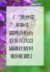 “黄丝带”系新生：淄博市桓台县多元共治铺就社矫对象回归路
