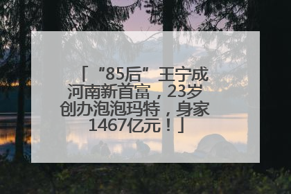 “85后”王宁成河南新首富，23岁创办泡泡玛特，身家1467亿元！