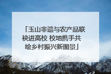 玉山非遗与农产品联袂进高校 校地携手共绘乡村振兴新图景