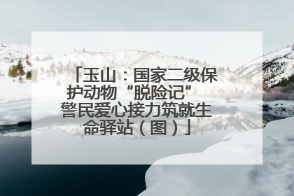 玉山：国家二级保护动物“脱险记” 警民爱心接力筑就生命驿站（图）