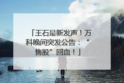 王石最新发声！万科晚间突发公告：“售股”回血！