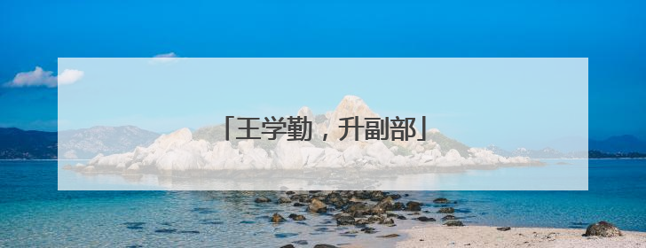王学勤，升副部