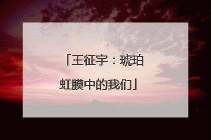 王征宇：琥珀虹膜中的我们