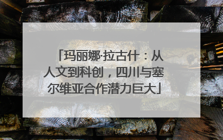 玛丽娜·拉古什：从人文到科创，四川与塞尔维亚合作潜力巨大