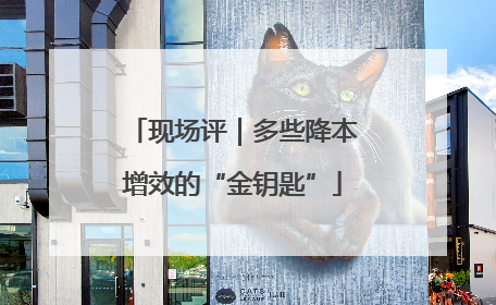 现场评｜多些降本增效的“金钥匙”