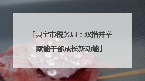 灵宝市税务局：双措并举 赋能干部成长新动能
