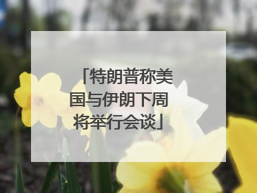 特朗普称美国与伊朗下周将举行会谈