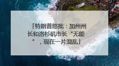 特朗普怒批：加州州长和洛杉矶市长“无能”，现在一片混乱