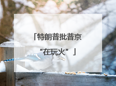 特朗普批普京“在玩火”
