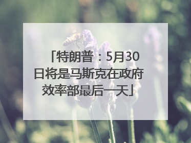 特朗普：5月30日将是马斯克在政府效率部最后一天