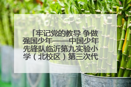 牢记党的教导 争做强国少年——中国少年先锋队临沂第九实验小学（北校区）第三次代表大会胜利召开