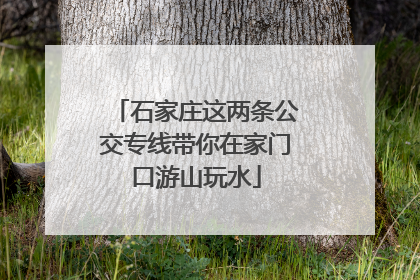 石家庄这两条公交专线带你在家门口游山玩水