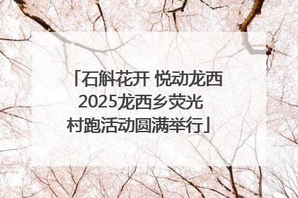 石斛花开 悦动龙西 2025龙西乡荧光村跑活动圆满举行
