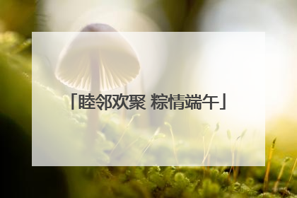 睦邻欢聚 粽情端午
