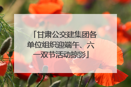 甘肃公交建集团各单位组织迎端午、六一双节活动掠影