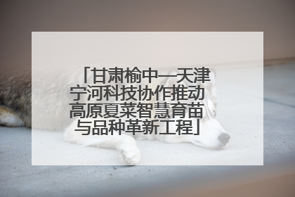 甘肃榆中—天津宁河科技协作推动高原夏菜智慧育苗与品种革新工程