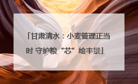 甘肃清水：小麦管理正当时 守护粮“芯”绘丰景