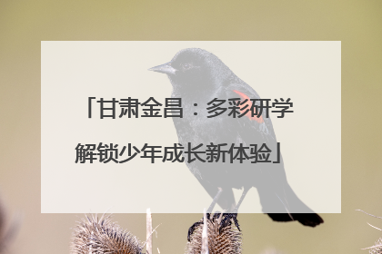 甘肃金昌：多彩研学解锁少年成长新体验