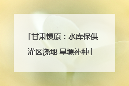甘肃镇原：水库保供 灌区浇地 旱塬补种