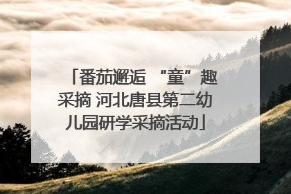 番茄邂逅 “童”趣采摘 河北唐县第二幼儿园研学采摘活动