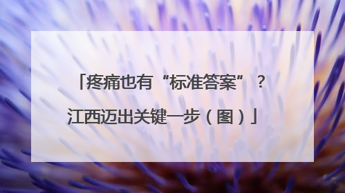 疼痛也有“标准答案”？江西迈出关键一步（图）