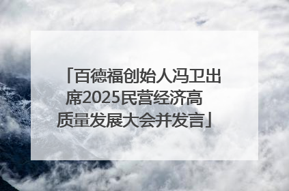 百德福创始人冯卫出席2025民营经济高质量发展大会并发言