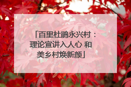百里杜鹃永兴村：理论宣讲入人心 和美乡村焕新颜