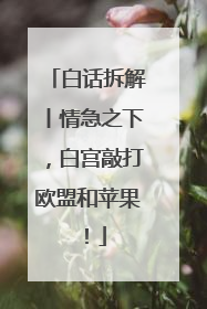 白话拆解丨情急之下，白宫敲打欧盟和苹果！