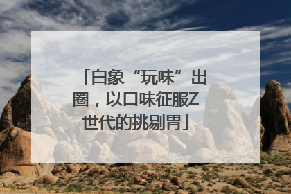 白象“玩味”出圈，以口味征服Z世代的挑剔胃