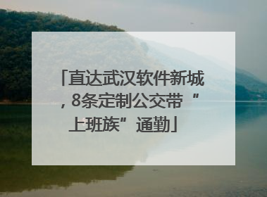 直达武汉软件新城，8条定制公交带“上班族”通勤
