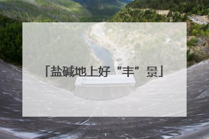 盐碱地上好“丰”景