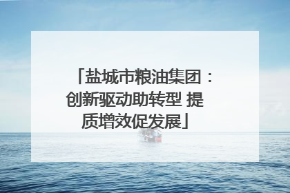 盐城市粮油集团：创新驱动助转型 提质增效促发展