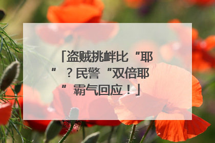 盗贼挑衅比“耶”？民警“双倍耶”霸气回应！