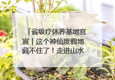 省级疗休养基地官宣｜这个神仙度假地藏不住了！走进山水秘境 开启一场野奢度假之旅！