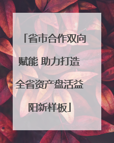 省市合作双向赋能 助力打造全省资产盘活益阳新样板