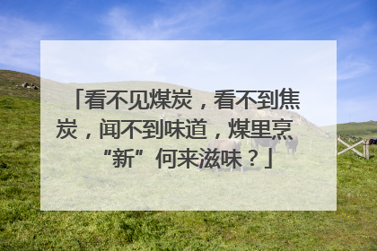 看不见煤炭，看不到焦炭，闻不到味道，煤里烹“新”何来滋味？