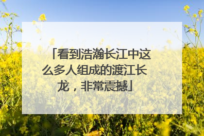 看到浩瀚长江中这么多人组成的渡江长龙，非常震撼