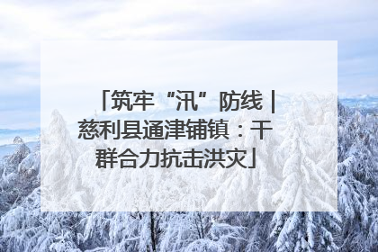 筑牢“汛”防线｜慈利县通津铺镇：干群合力抗击洪灾