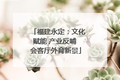 福建永定：文化赋能 产业反哺 会客厅外育新景
