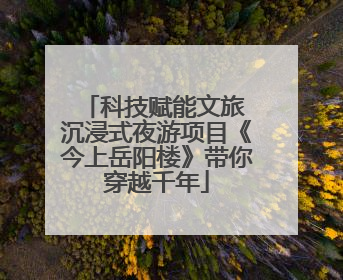 科技赋能文旅 沉浸式夜游项目《今上岳阳楼》带你穿越千年