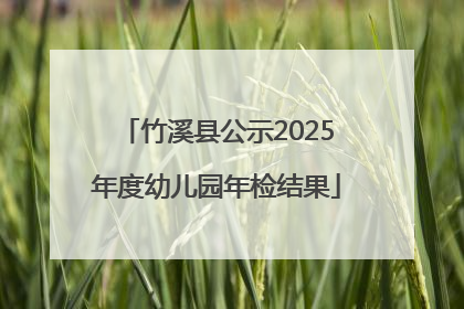 竹溪县公示2025年度幼儿园年检结果