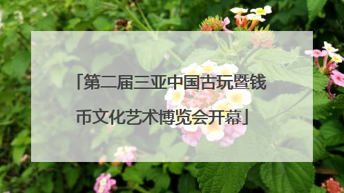 第二届三亚中国古玩暨钱币文化艺术博览会开幕