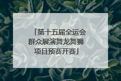 第十五届全运会群众展演舞龙舞狮项目预赛开赛