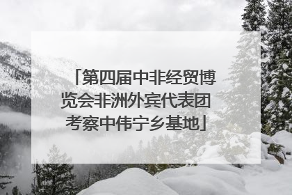 第四届中非经贸博览会非洲外宾代表团考察中伟宁乡基地